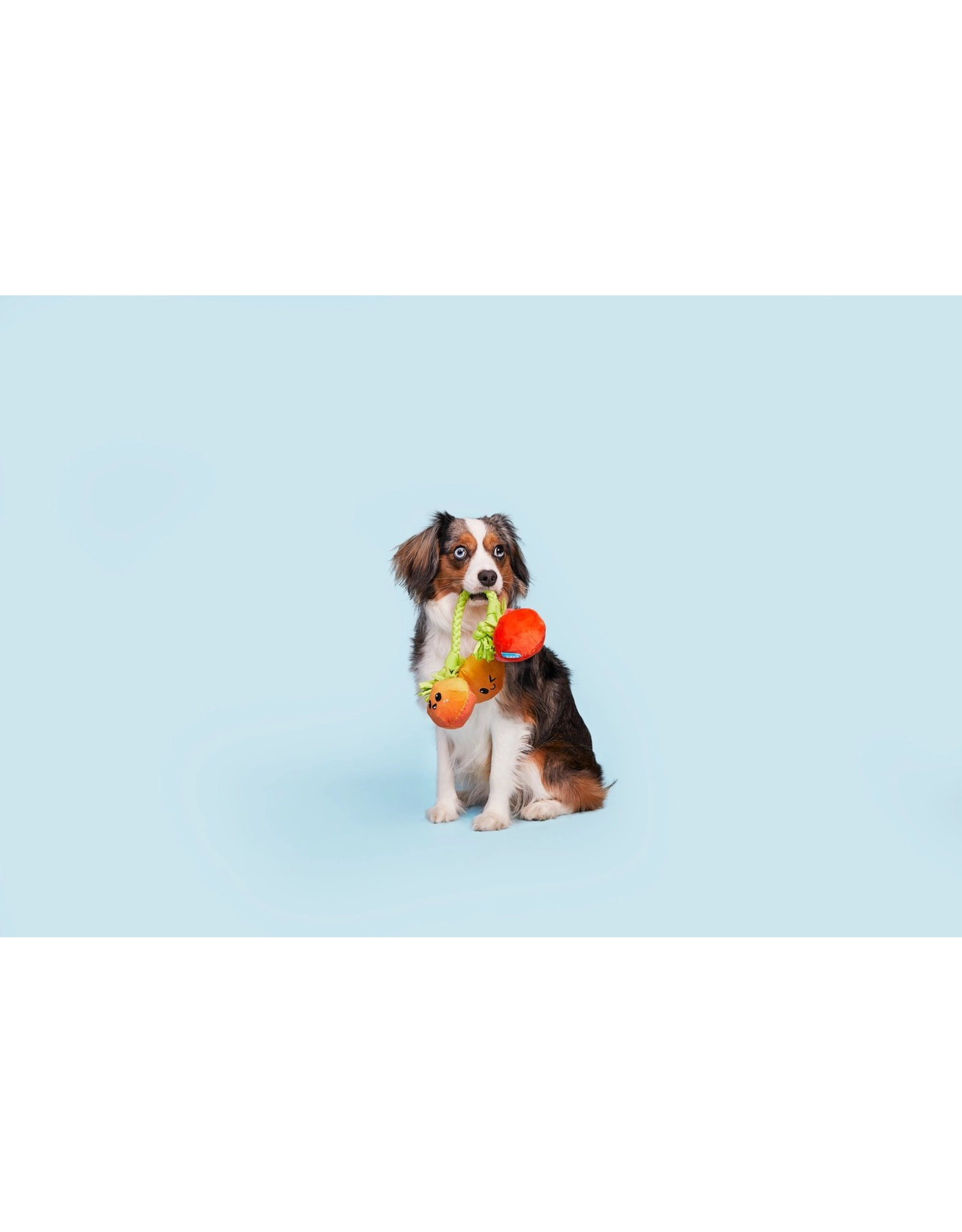 Pet Pallete Bark Hairloom Tomatoes Plush Dog Toy S/M