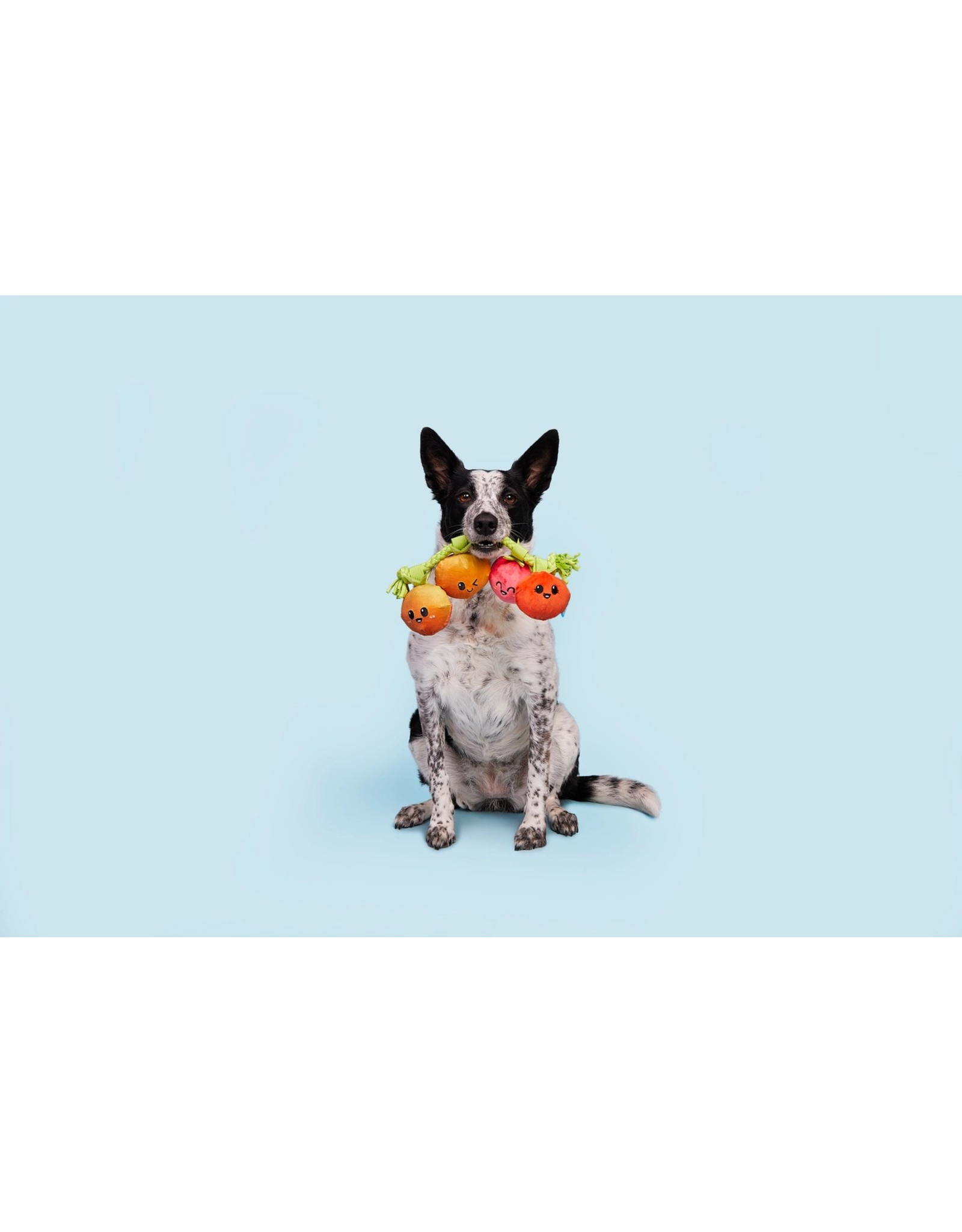 Pet Pallete Bark Hairloom Tomatoes Plush Dog Toy S/M