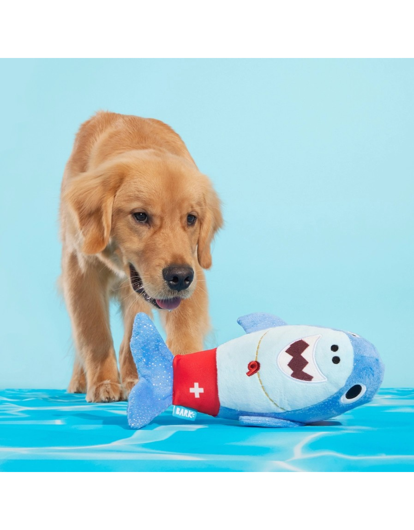 Pet Pallete Bark Pool Shark Shane Plush Dog Toy