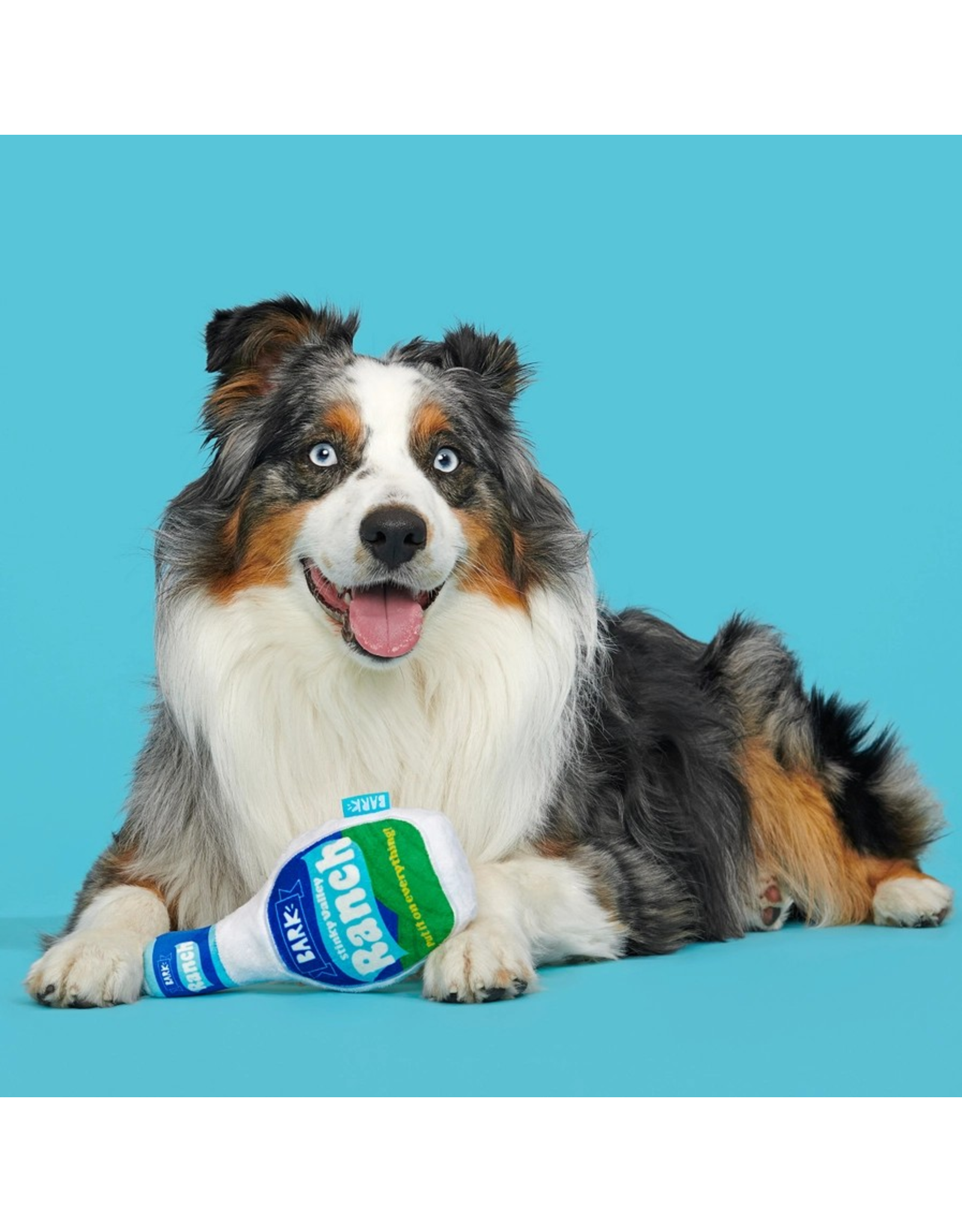 Pet Pallete Bark Stinky Valley Ranch Plush Dog Toy S/M