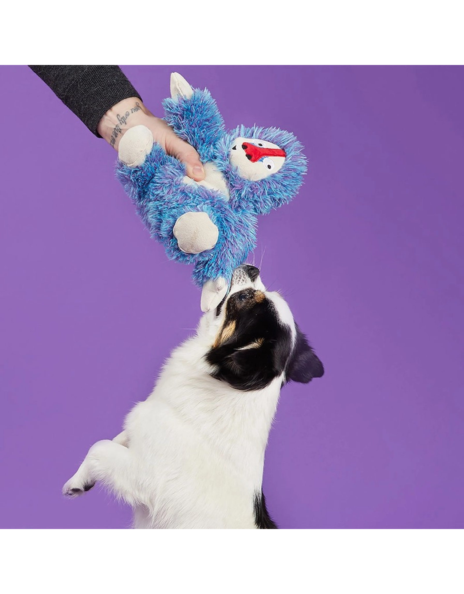 Pet Pallete Bark Zeke the Cheeky Monkey