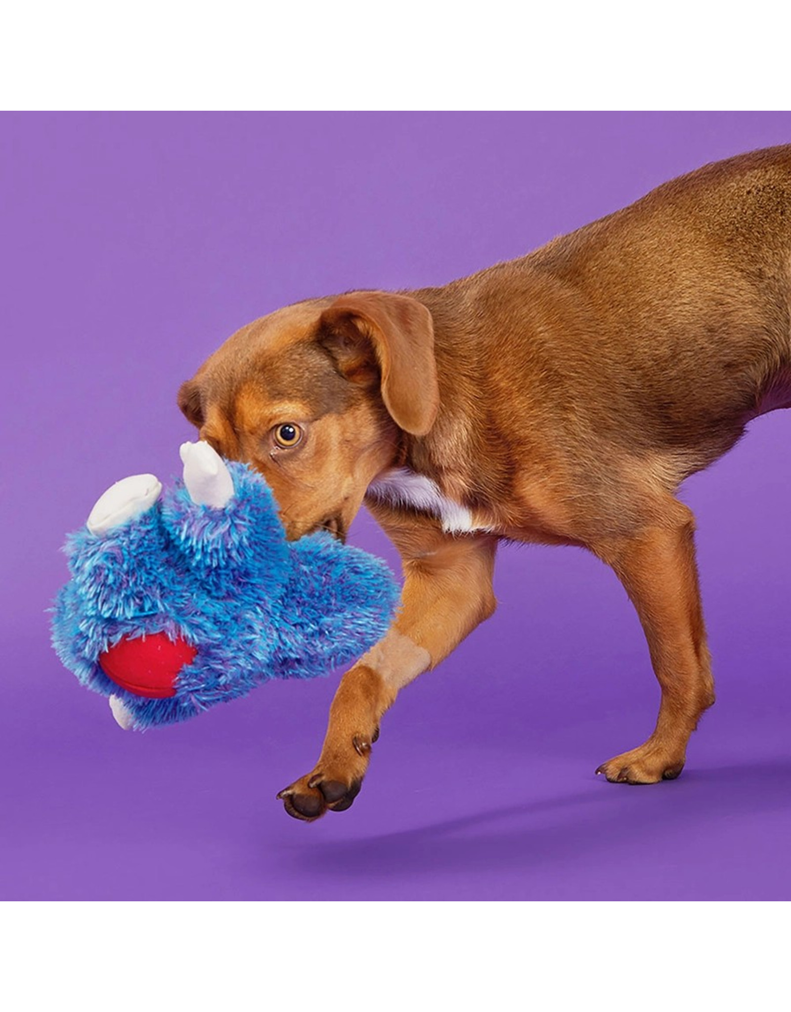 Pet Pallete Bark Zeke the Cheeky Monkey