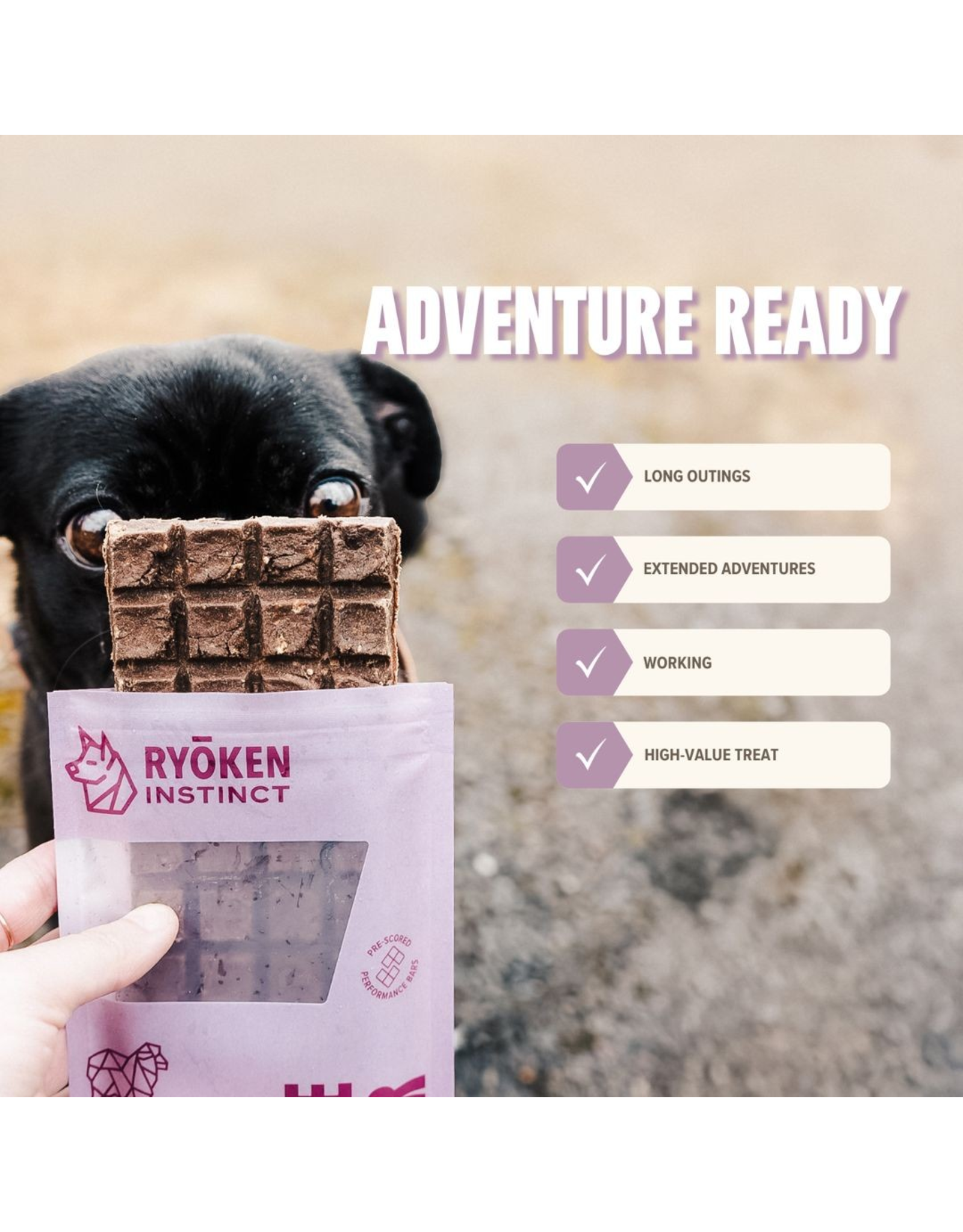 Ryoken Instinct Lamb Treat & Snack Bar - Energy & Recovery