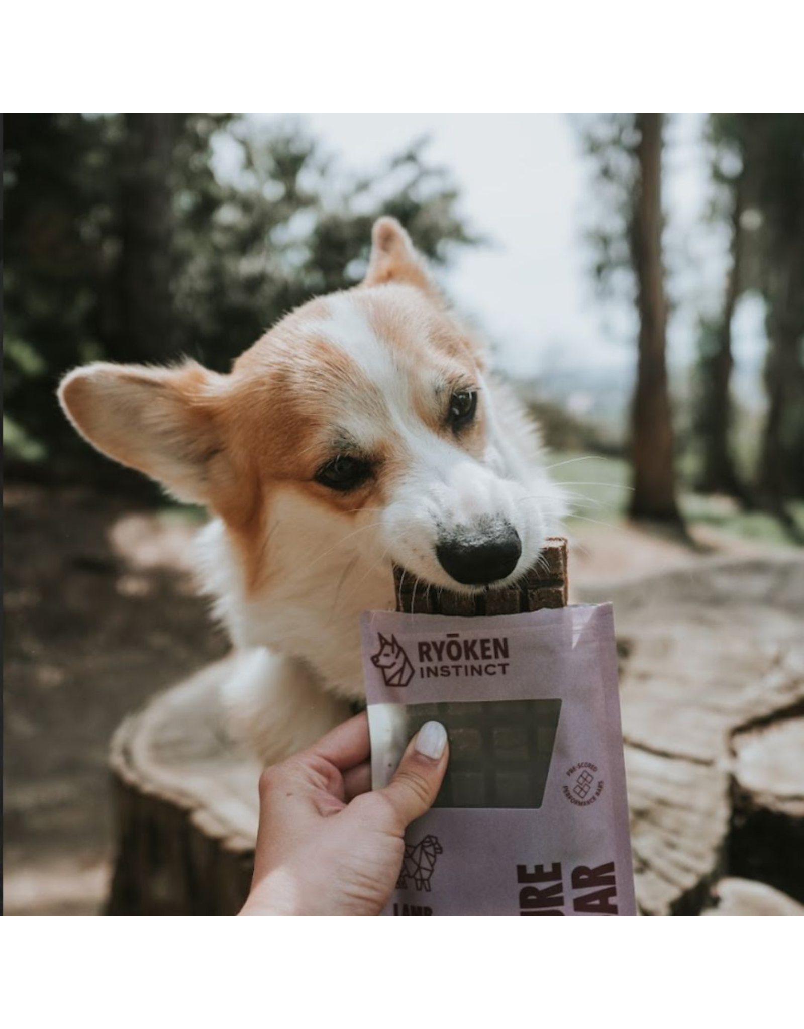 Ryoken Instinct Lamb Treat & Snack Bar - Energy & Recovery