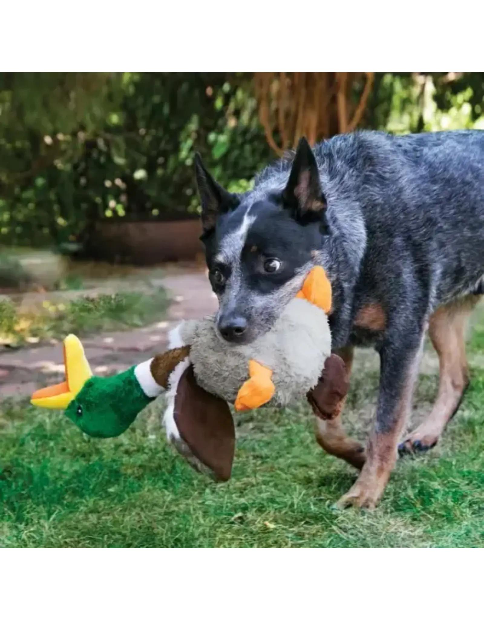 KONG Shakers Honkers Duck Dog Plush Toy Small