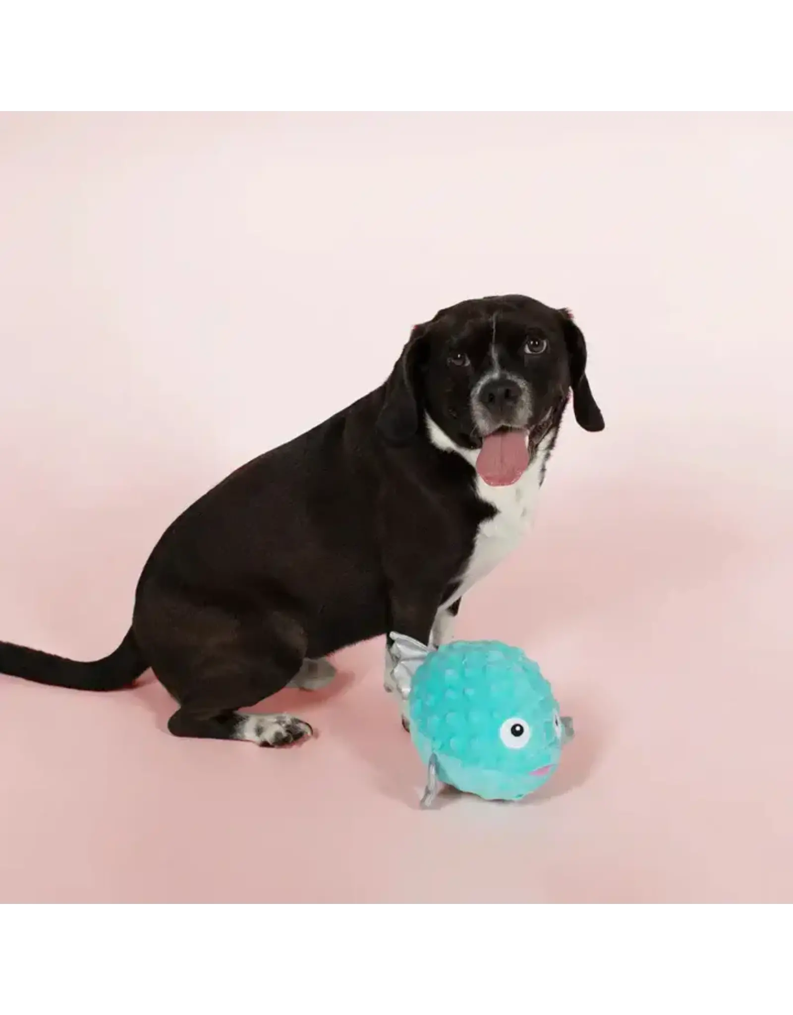 Puffed Up Puffer Fish Pulsh Dog Toy