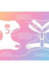 Sassy Woof Dog Adjustable Harness - Teddy