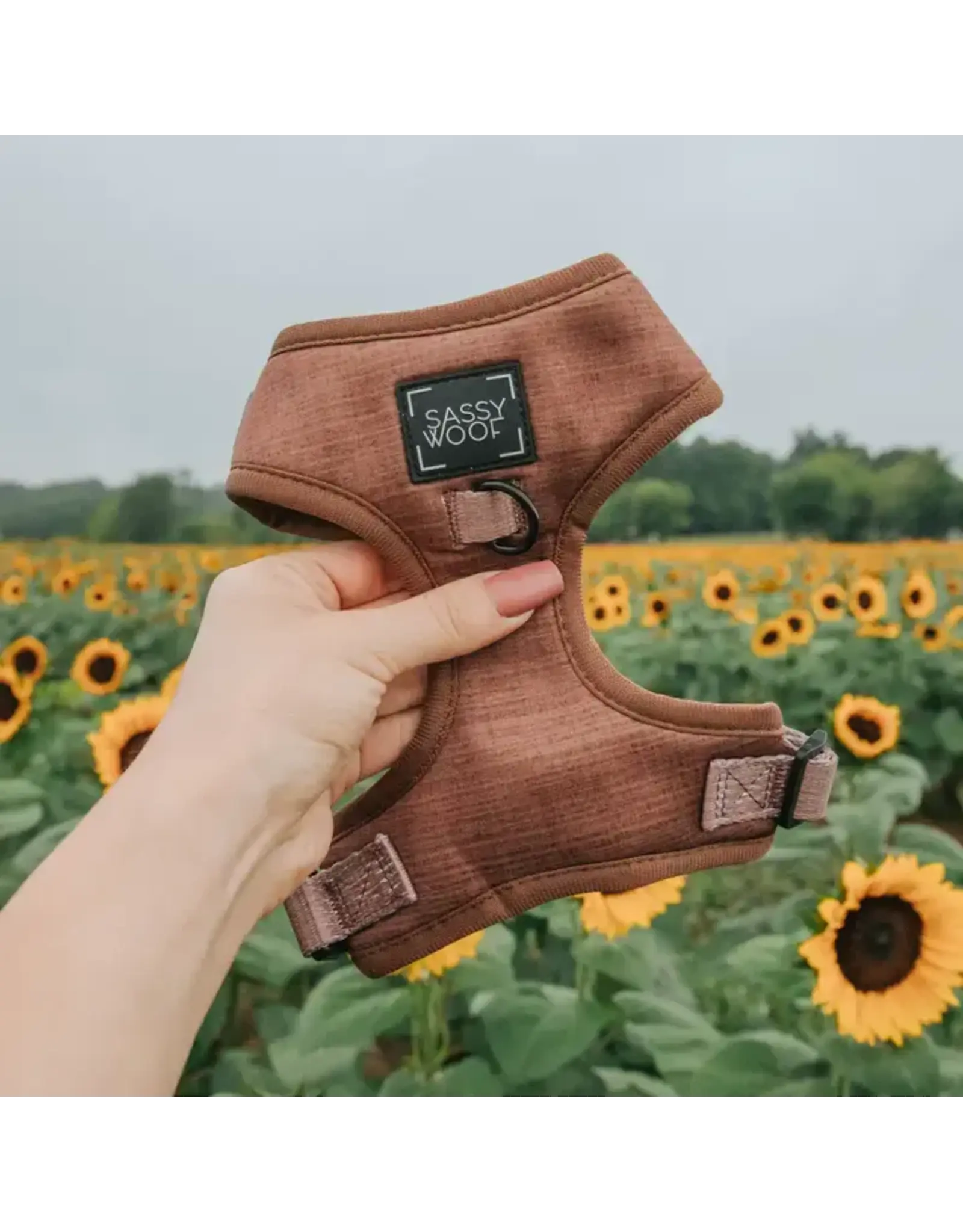 Sassy Woof Dog Adjustable Harness - Teddy