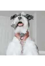 Sassy Woof Adjustable Harness - Teddy
