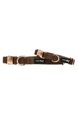 Sassy Woof Dog Collar - Teddy