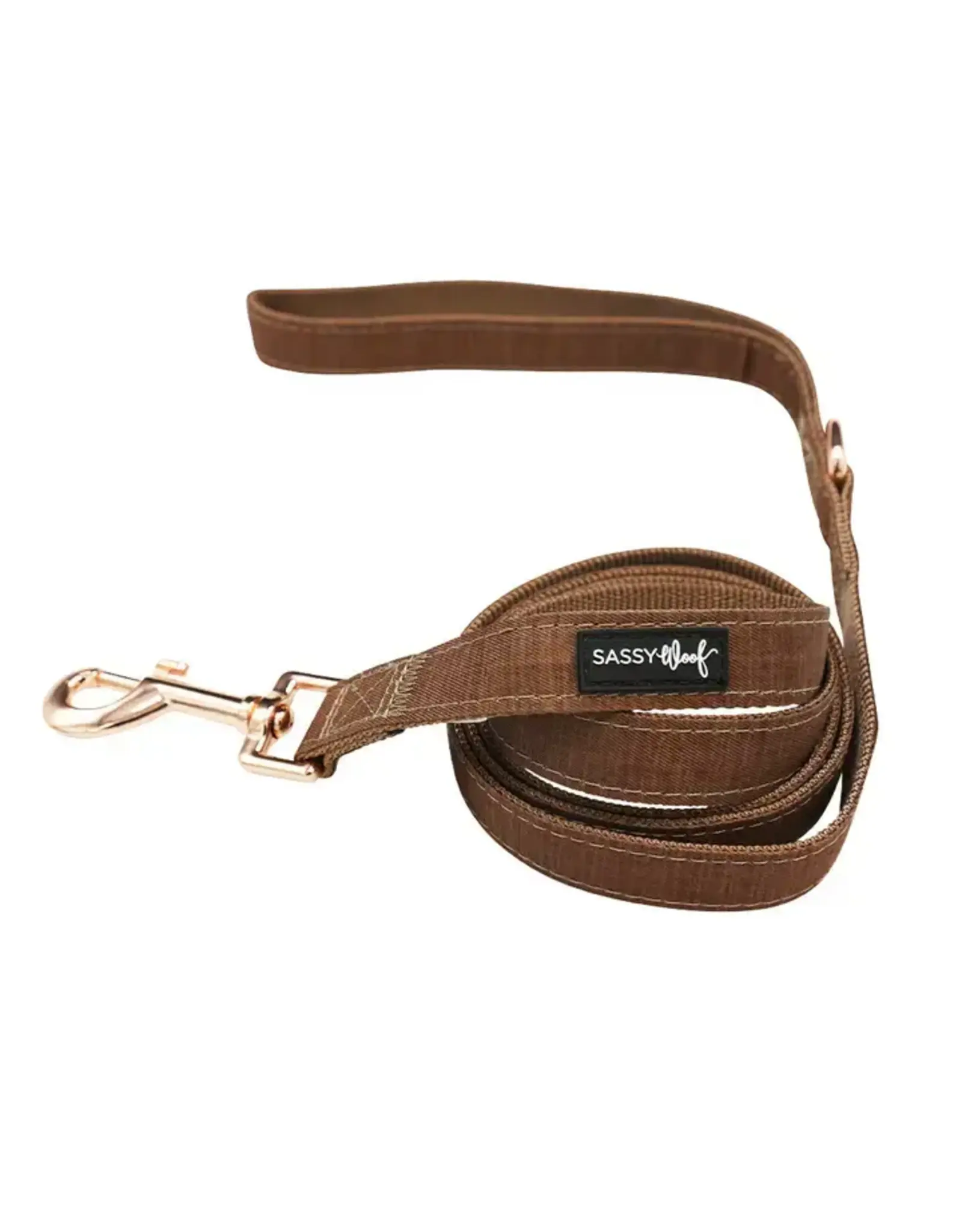 Sassy Woof Dog Leash - Teddy