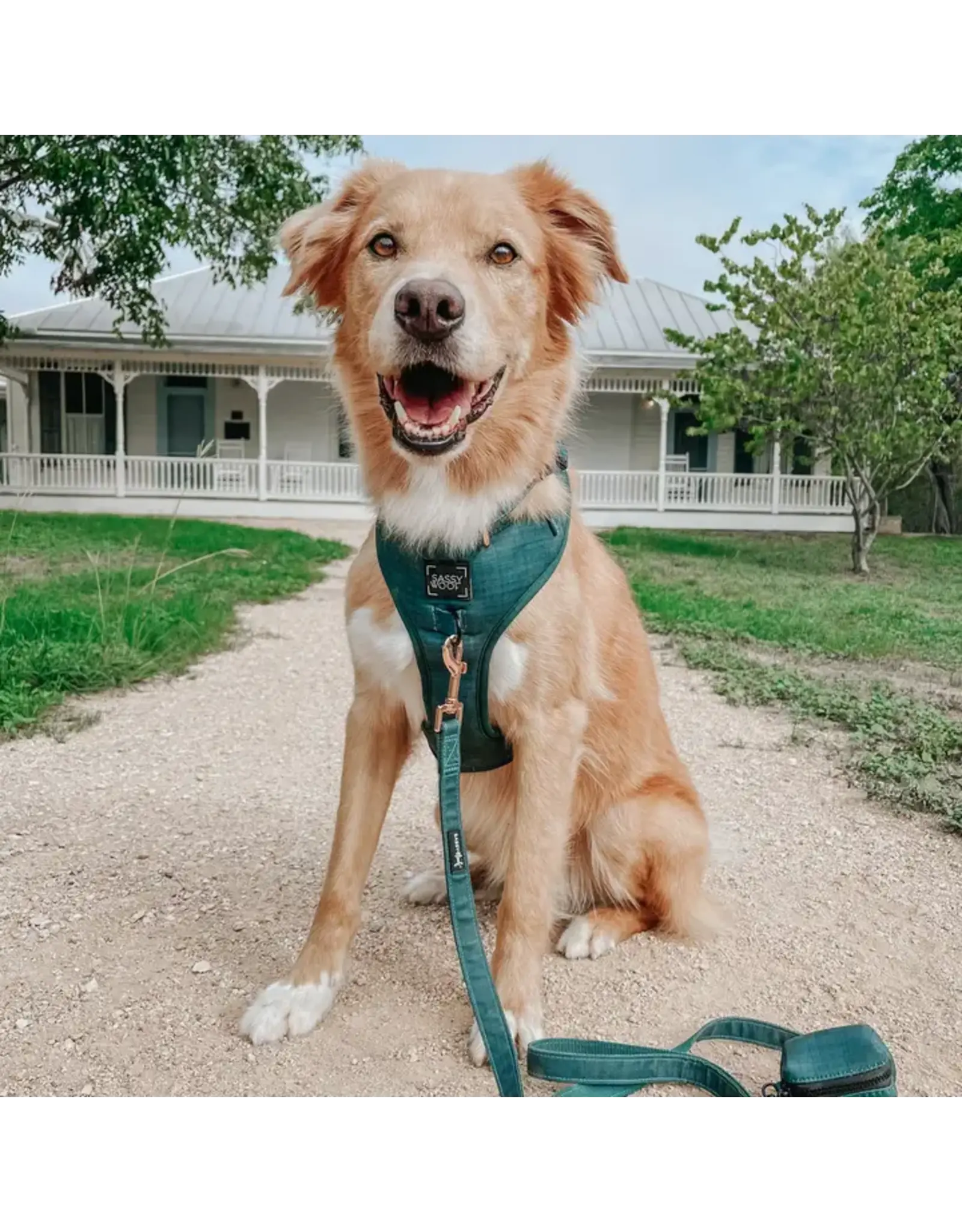 Sassy Woof 'Forest' Dog Adjustable Harness