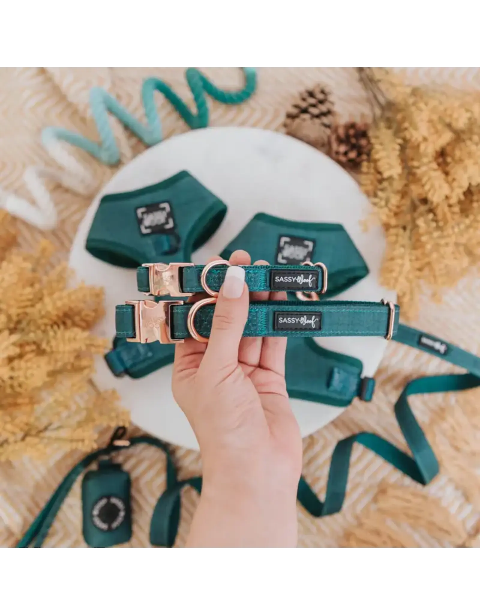 Sassy Woof 'Forest' Dog Collar