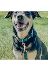 Sassy Woof 'Forest' Dog Collar