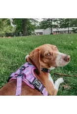 Sassy Woof Dog Leash Purple Haze (Summer)