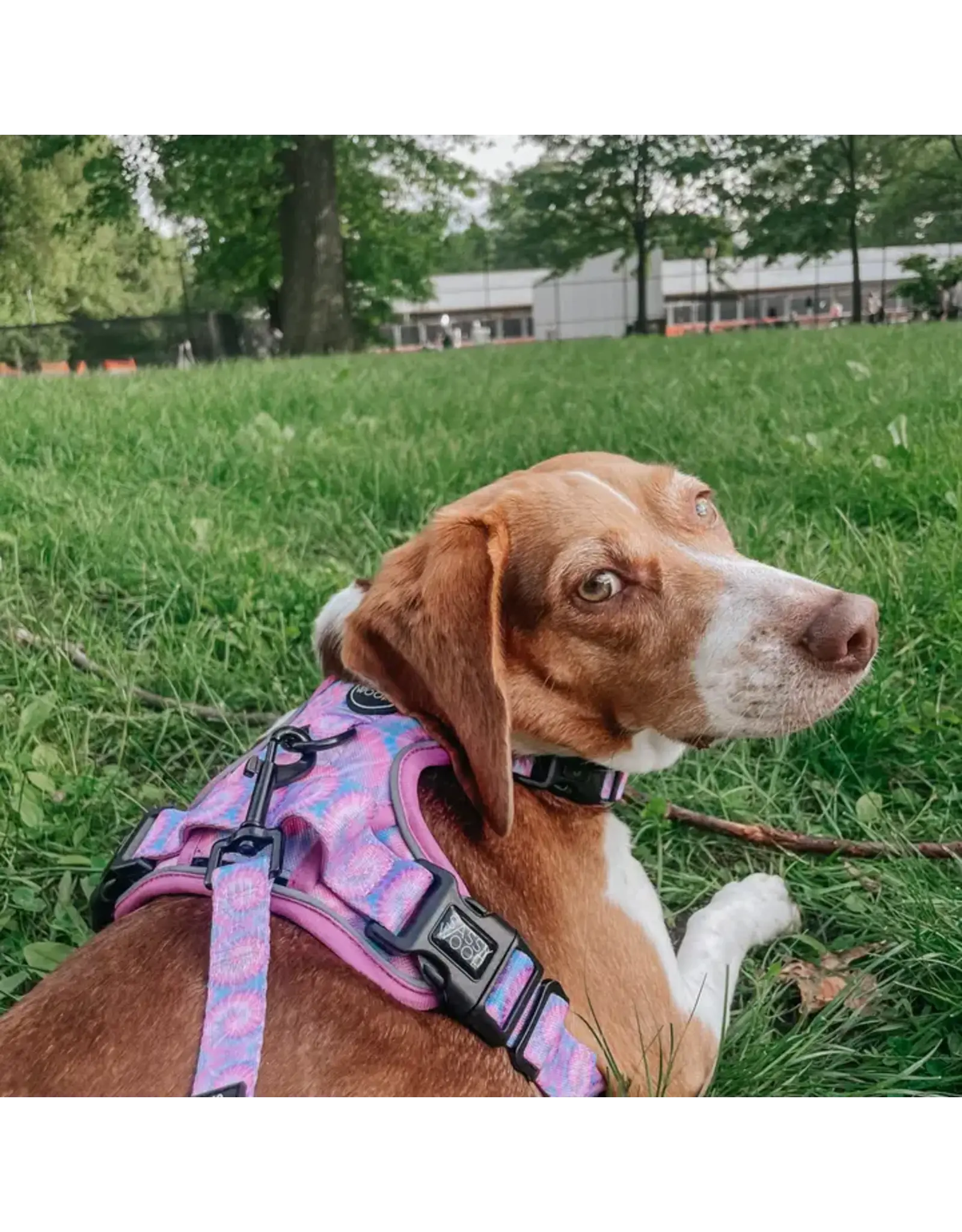 Sassy Woof Dog Leash Purple Haze (Summer)