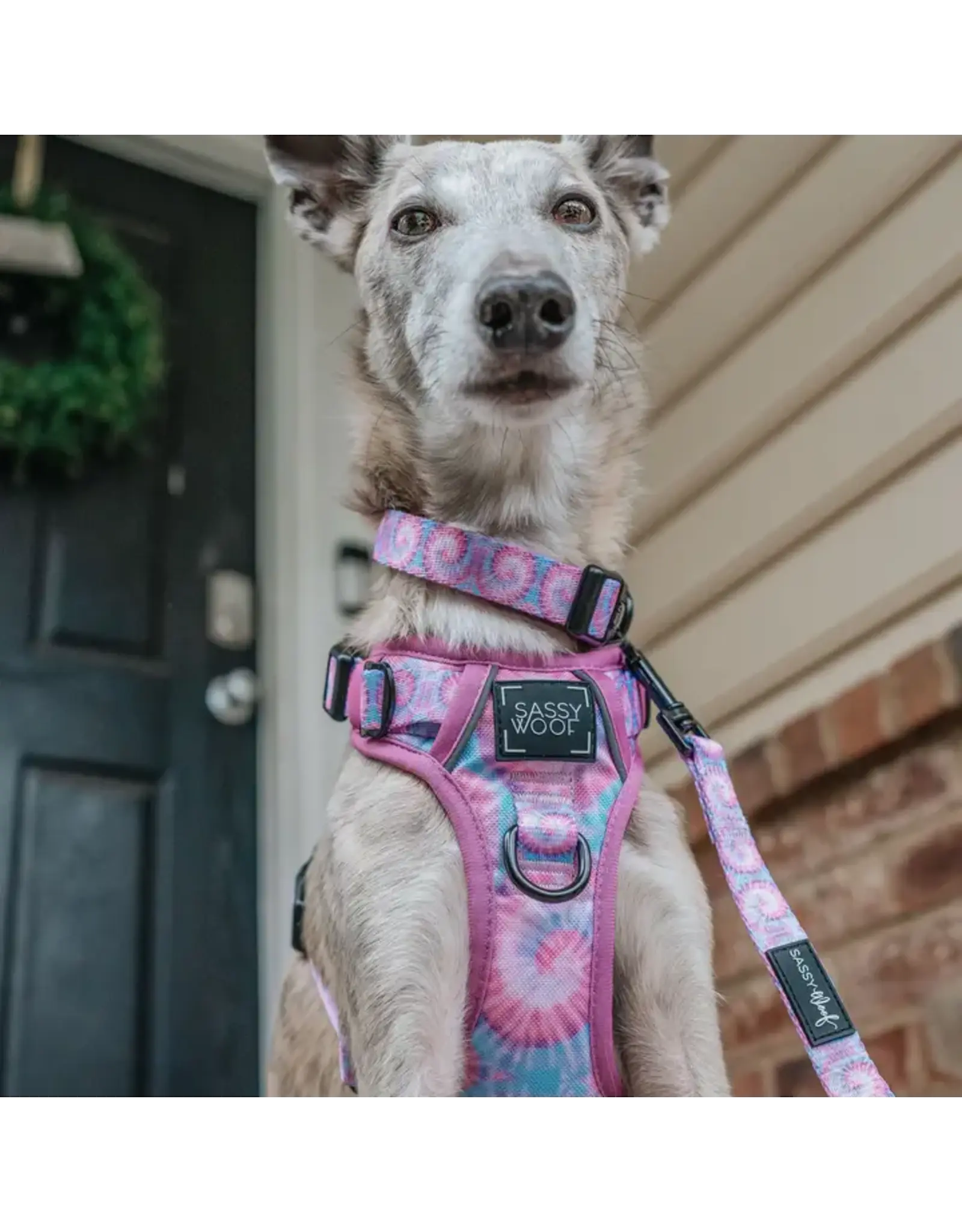 Sassy Woof 'Purple Haze' Dog Step-in Harness