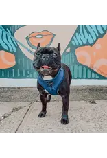 Sassy Woof 'Twilight' Dog Harness