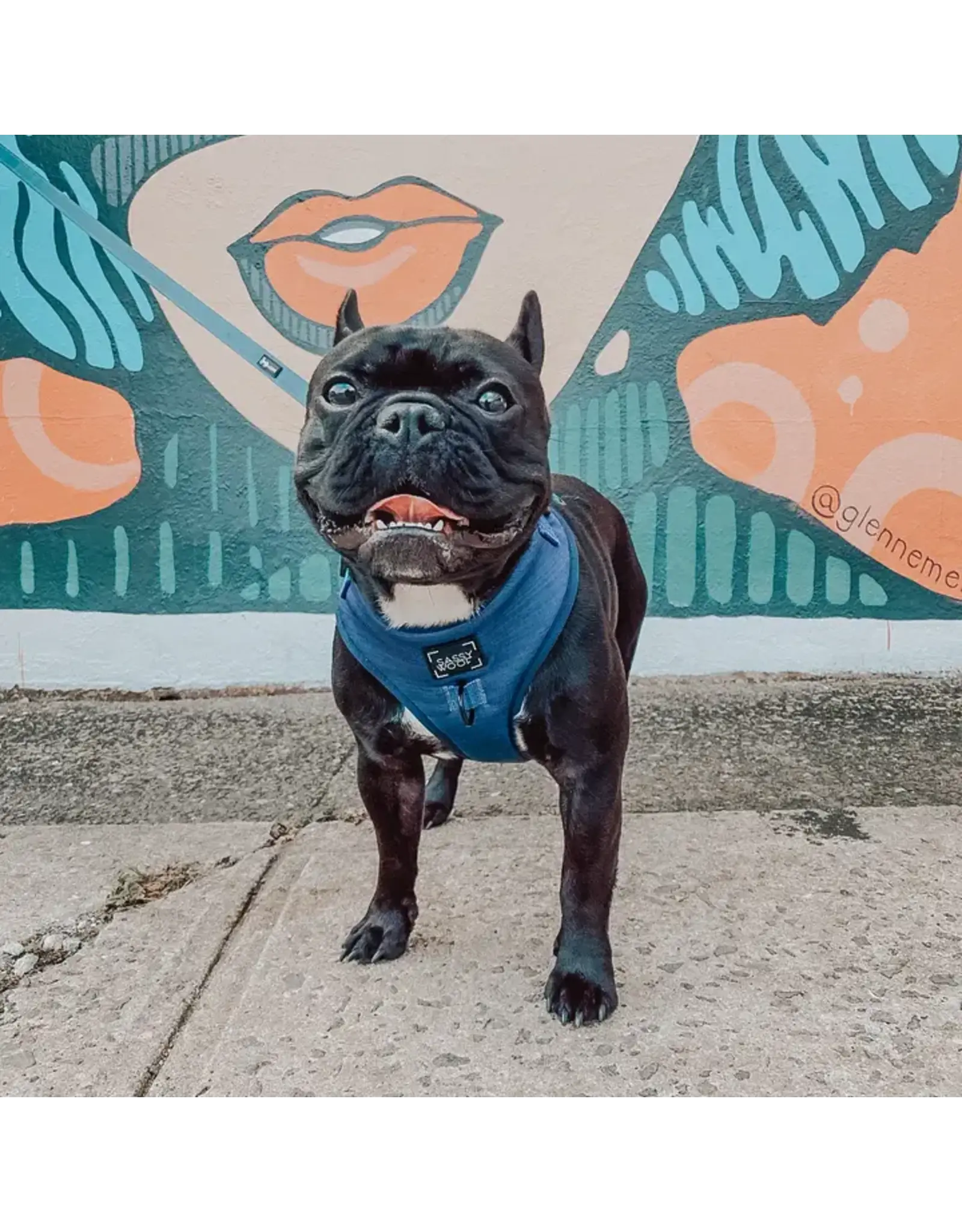 Sassy Woof 'Twilight' Dog Harness