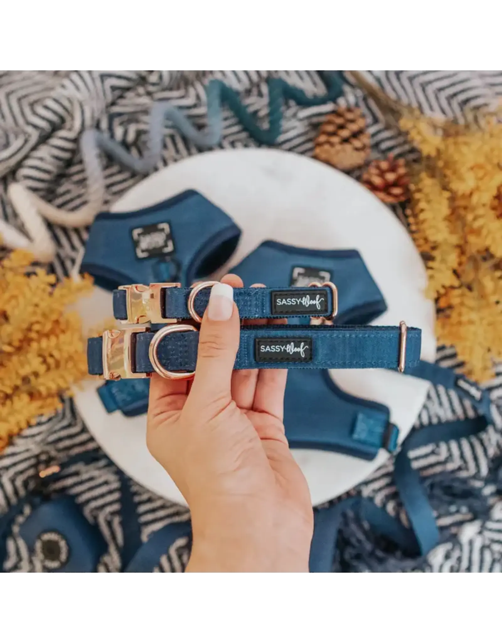 Sassy Woof 'Twilight' Dog Collar