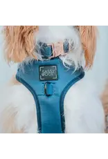 Sassy Woof 'Twilight' Dog Collar