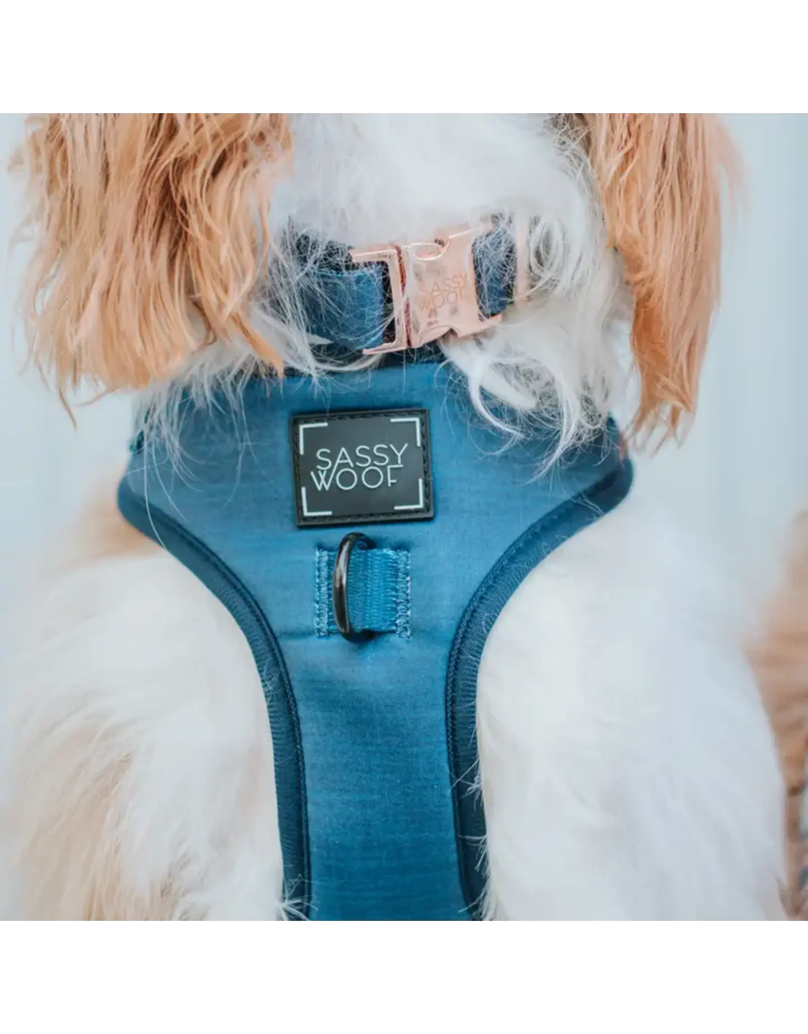 Sassy Woof 'Twilight' Dog Collar