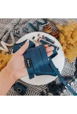 Sassy Woof 'Twilight' Dog Leash