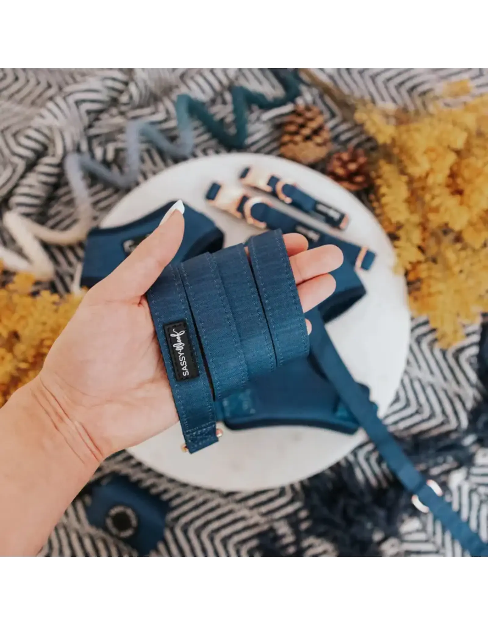 Sassy Woof 'Twilight' Dog Leash