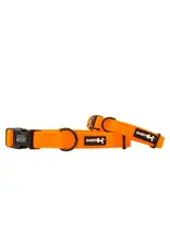 Sassy Woof 'Neon Orange' Dog Collar
