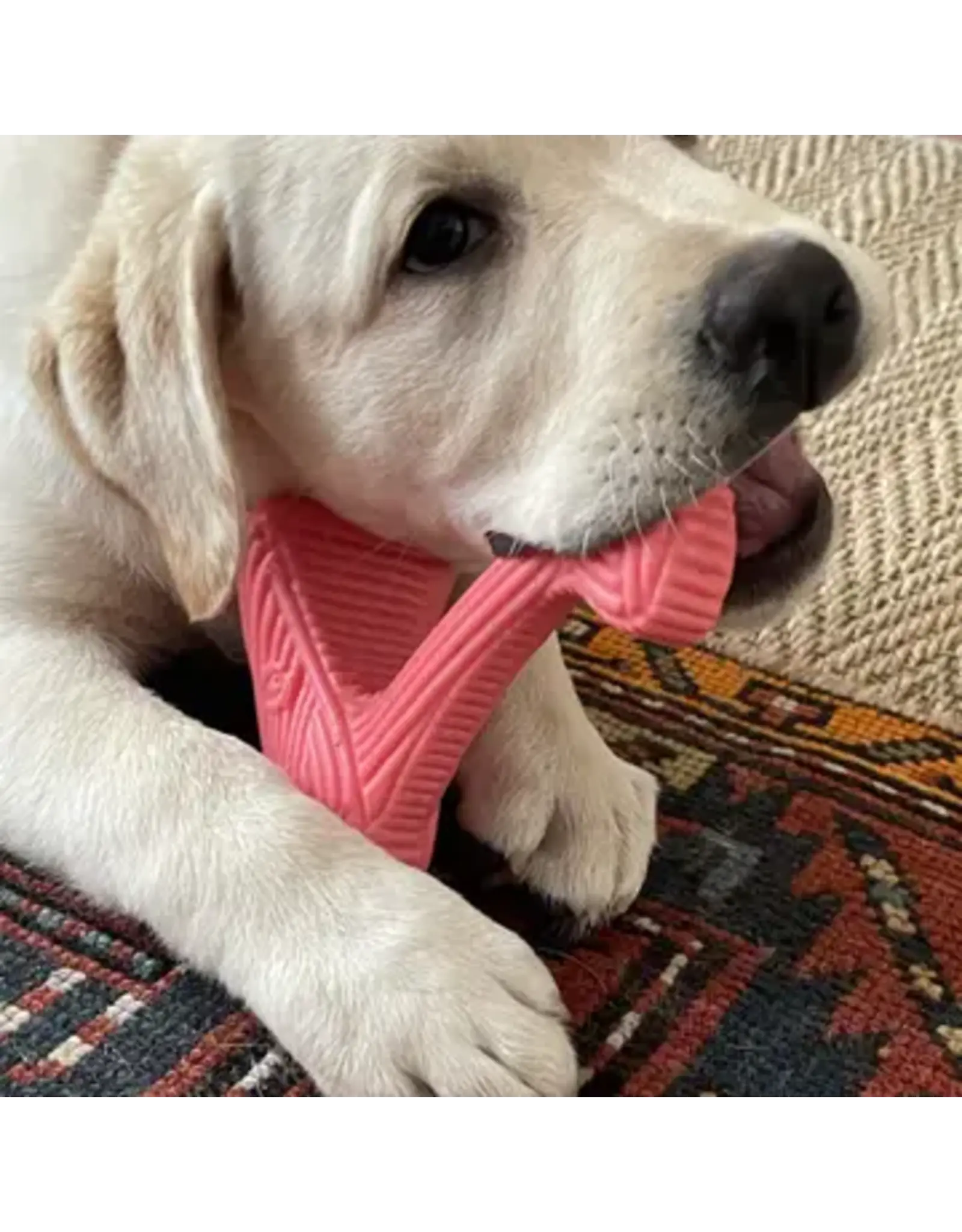 HuggleHounds Bobb Tuffut-Flex® Bone Dog Toy