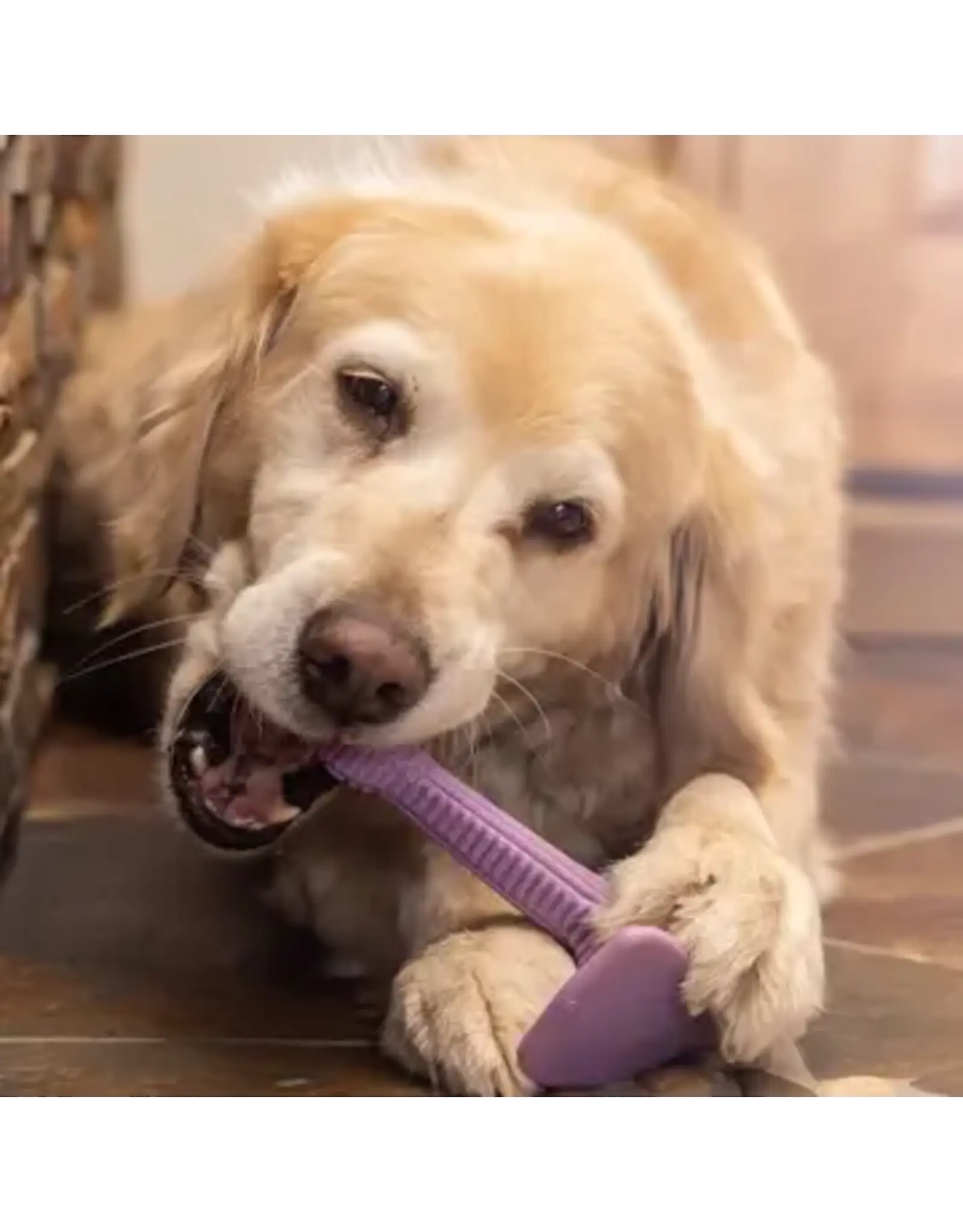 HuggleHounds Bobb Tuffut-Lon® Bone Dog Toy w/ Chicken Flavoring