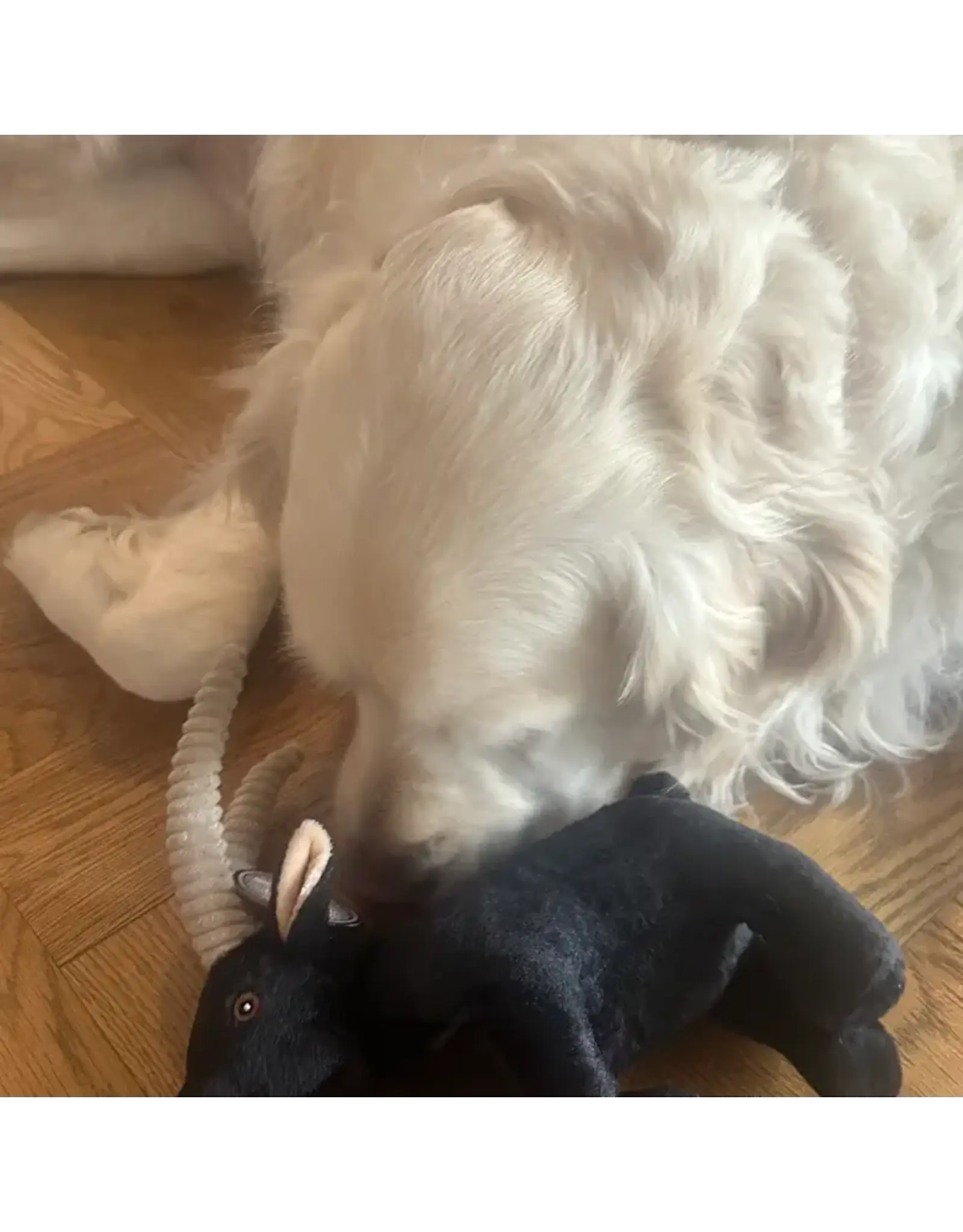 Steel Dog LLC Barnyard Baller Billy Goat