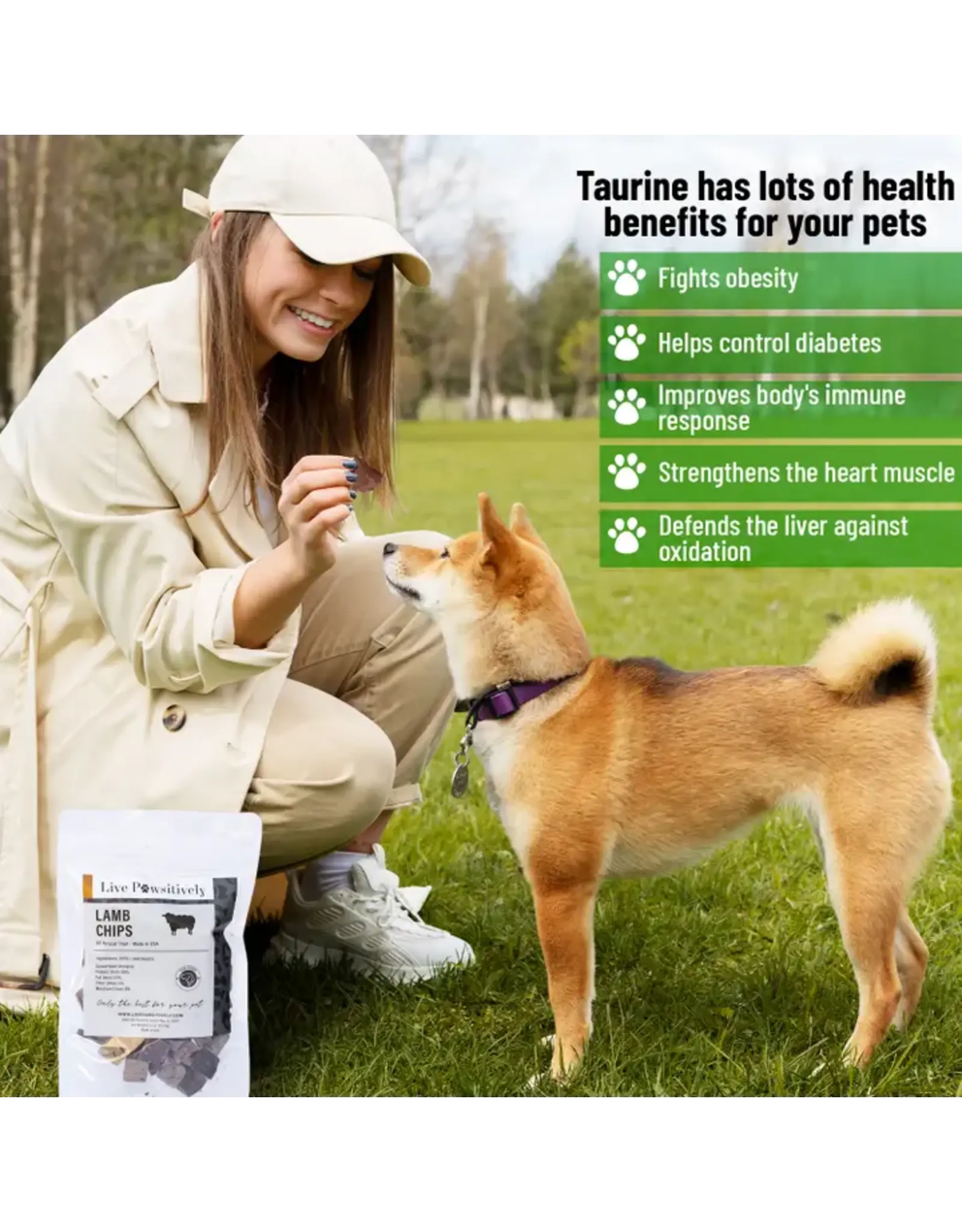 Live Pawsitive Lamb Chips