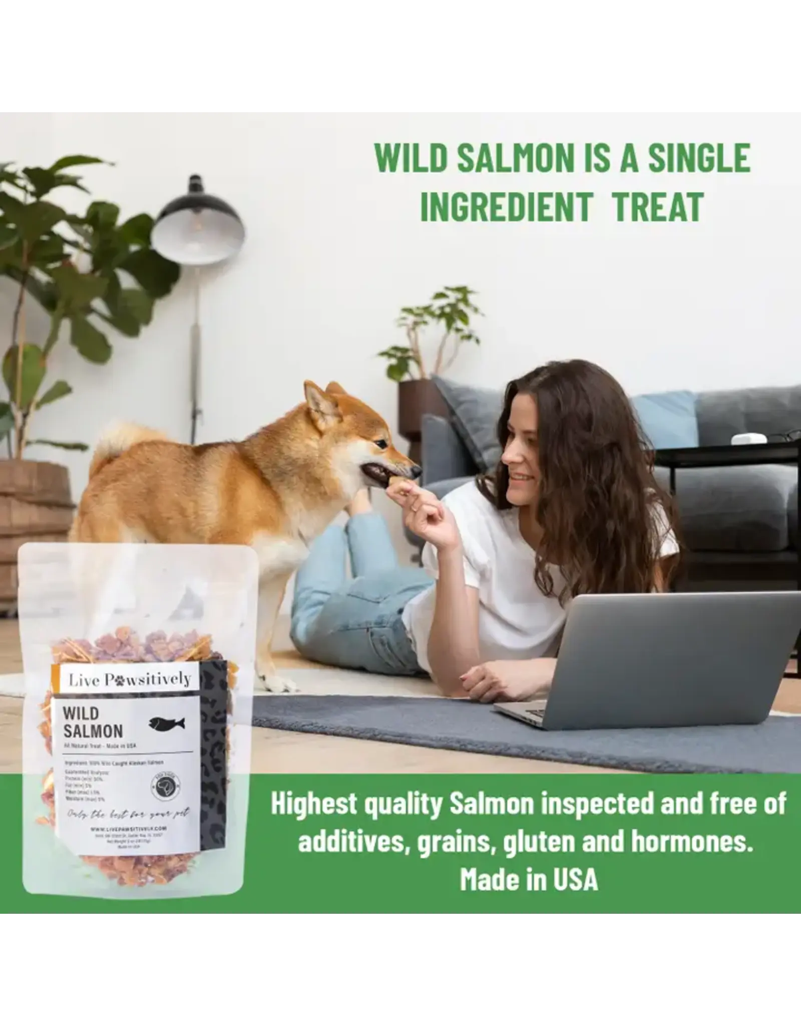 Live Pawsitive Wild Salmon ,  Dried treat for Dogs