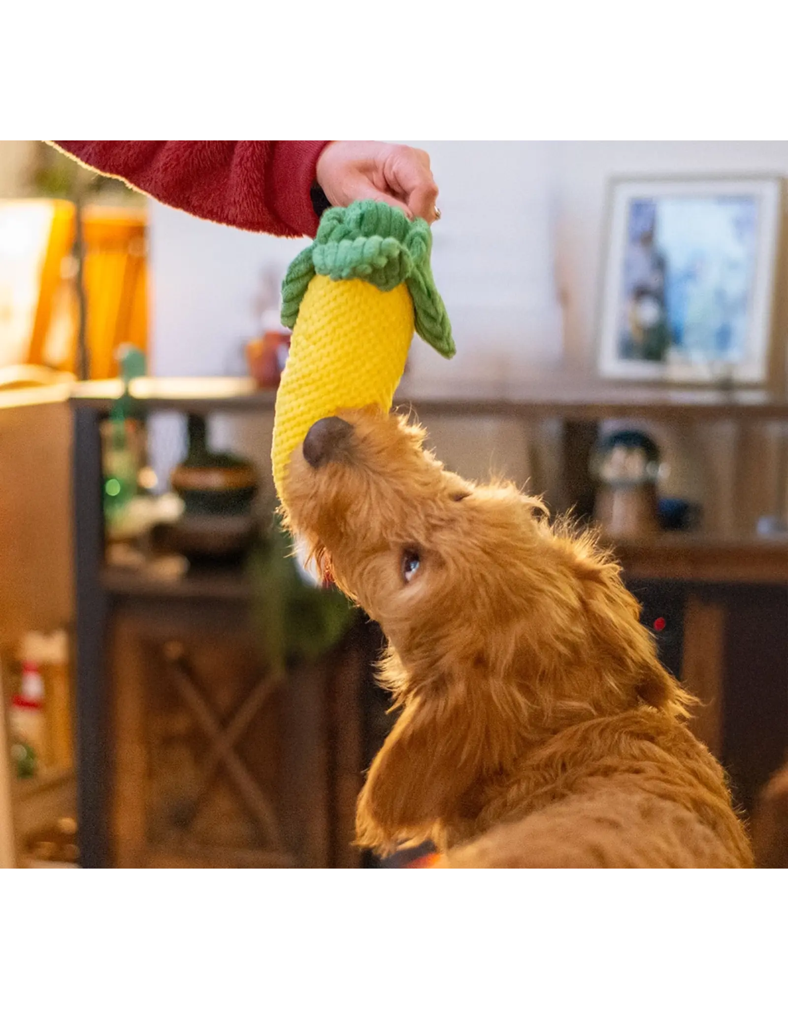 ThoozyPet ThoozyPet Corn Plush Dog Toy 10"