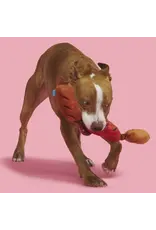 BARK Bark Lickin' Links Plush Dog Toy