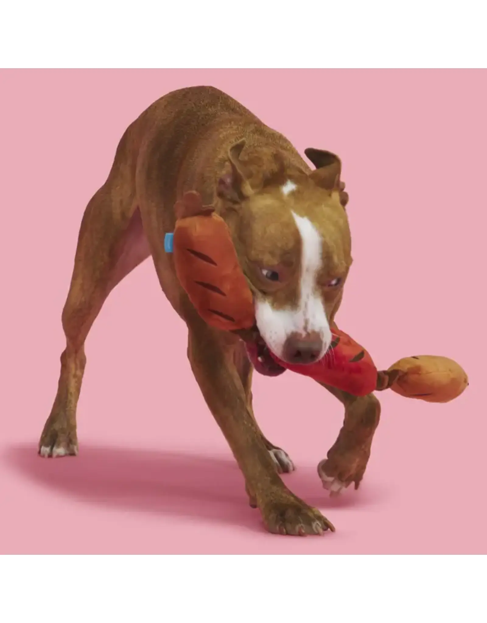 BARK Bark Lickin' Links Plush Dog Toy