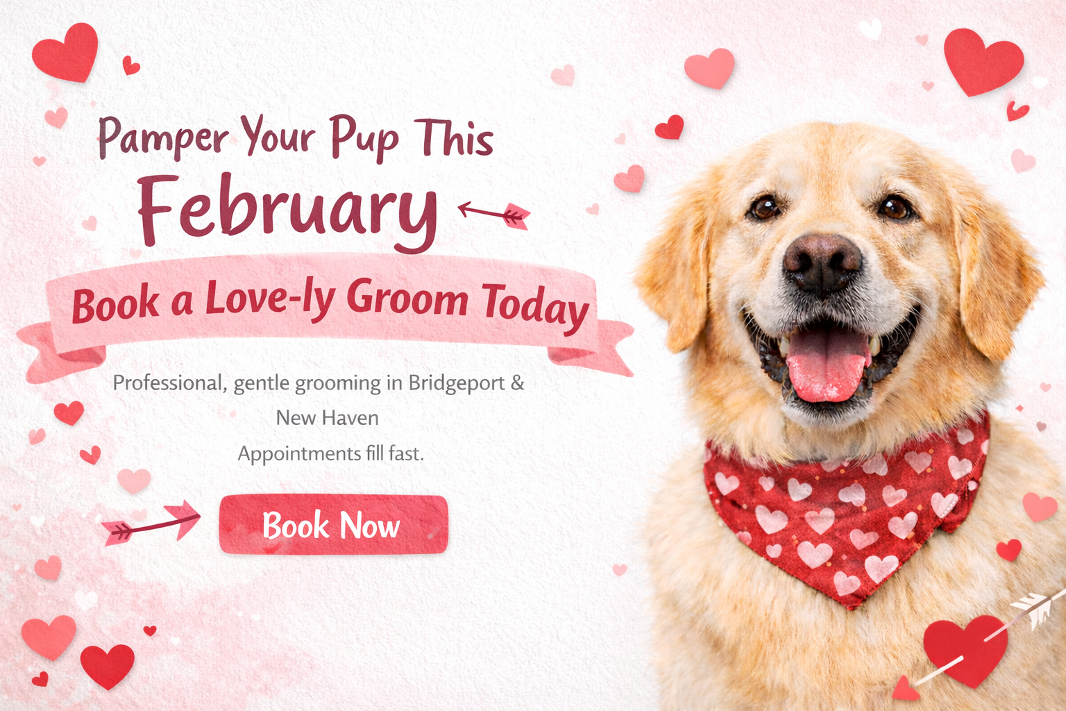 Pawtero Pet Grooming Booking