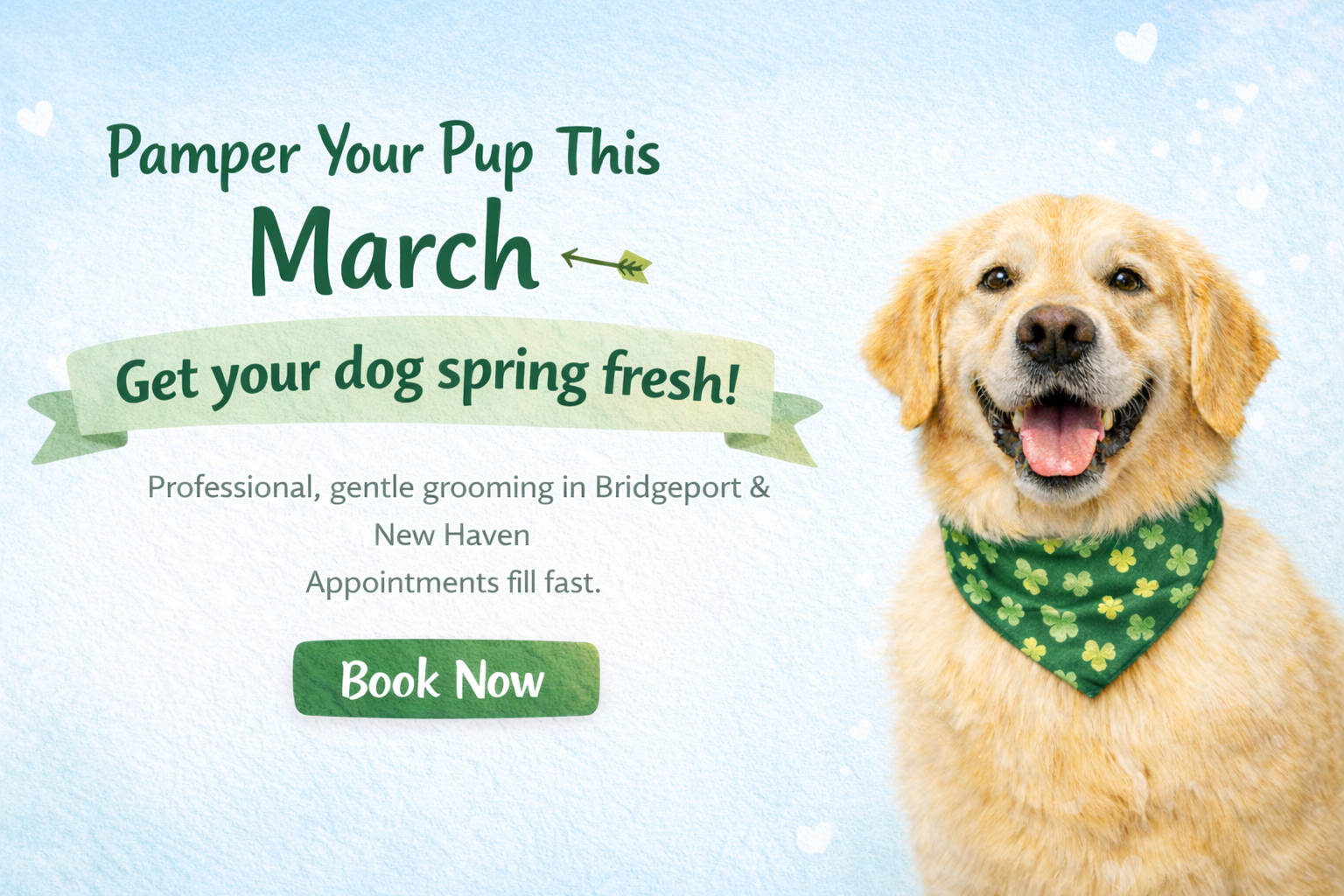 Pawtero Pet Grooming Booking