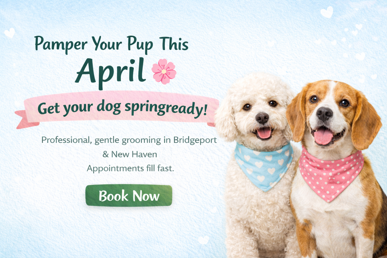 Pawtero Pet Grooming Booking