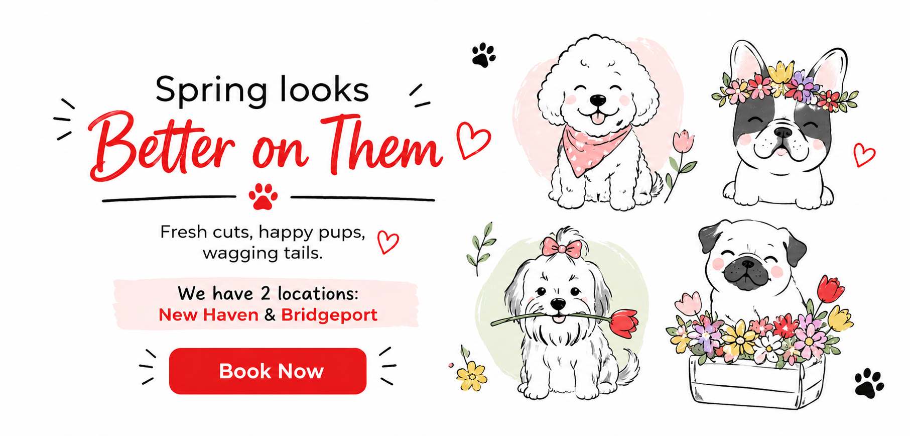 Pawtero Pet Grooming Booking