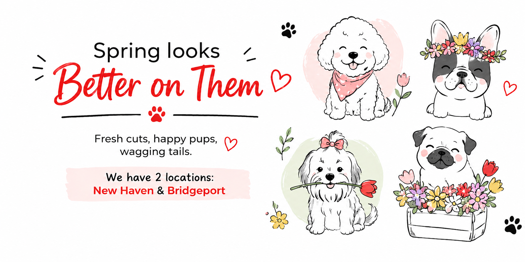 Pawtero Pet Grooming Booking