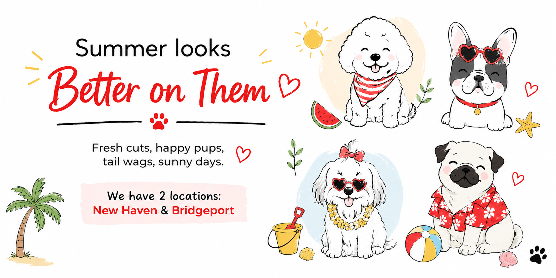 Dog Grooming Near You Now Booking Summer Appointments in New Haven & Bridgeport