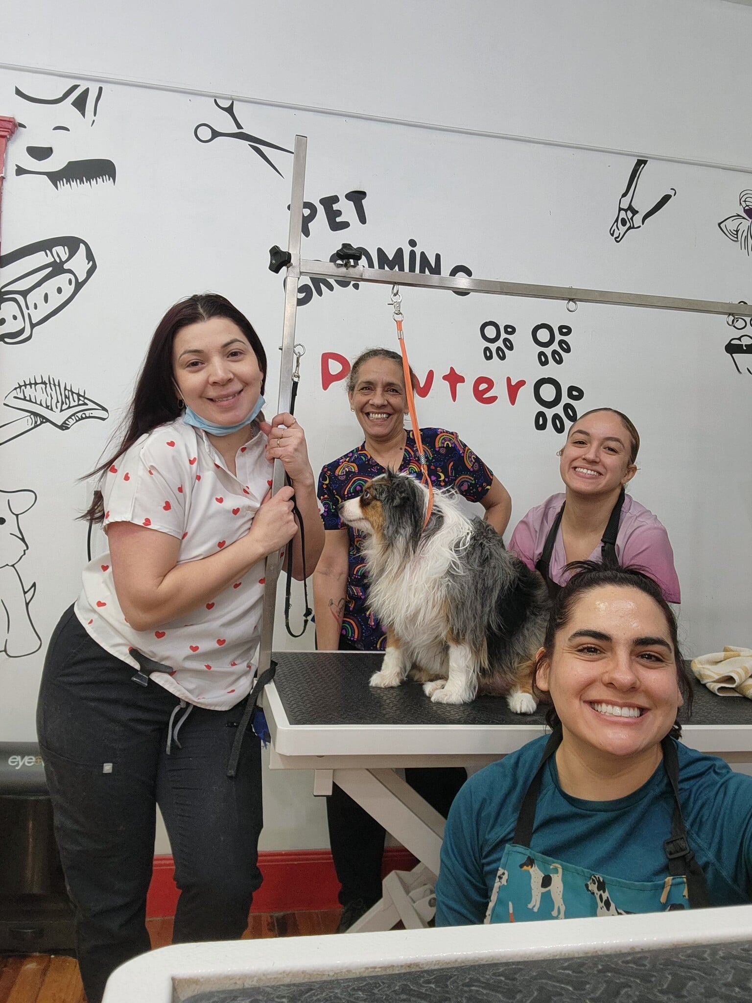 Pawtero's Dog Grooming Team