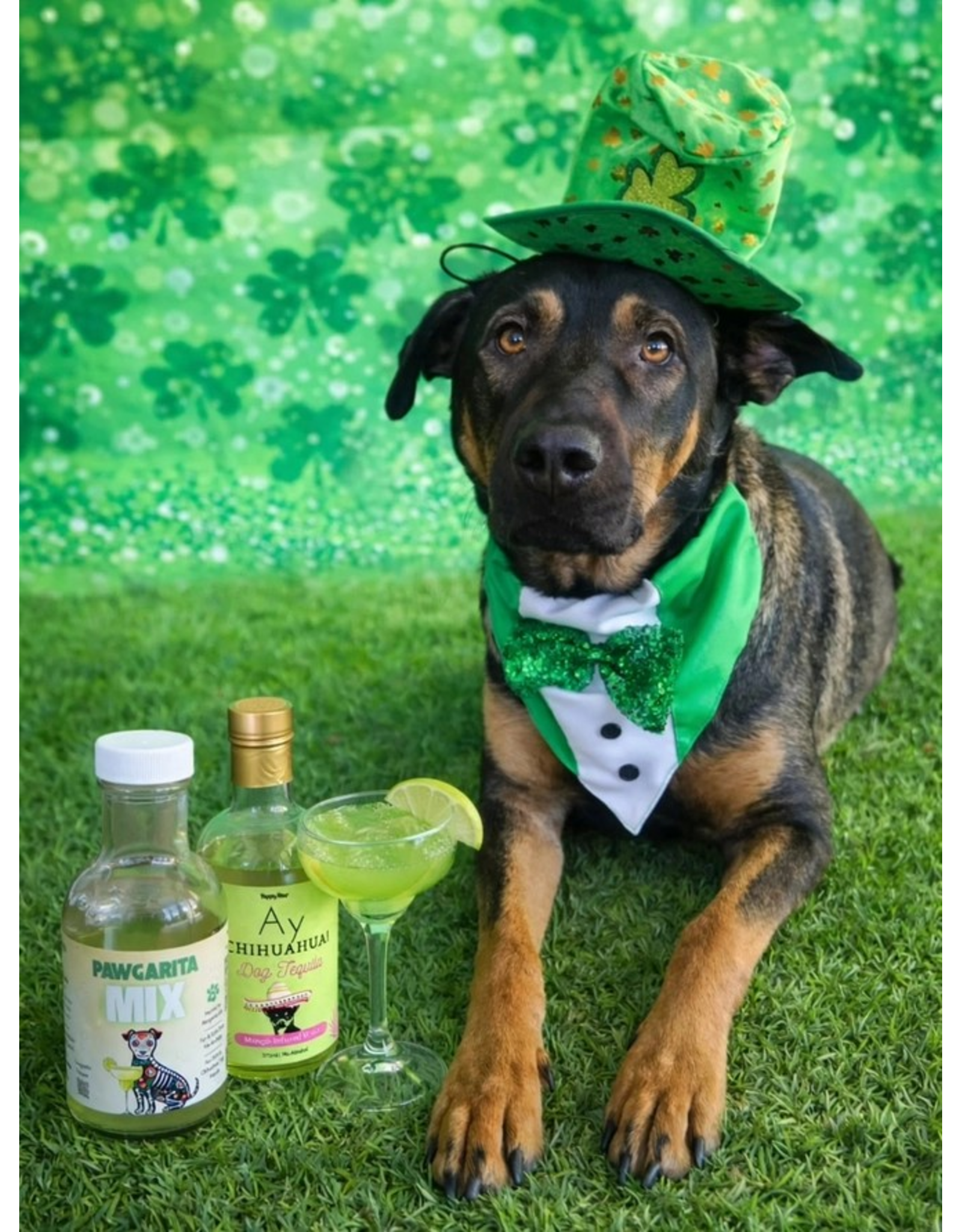 Yappy Hour Margarita Kit For Dogs  Mango-Cucumber