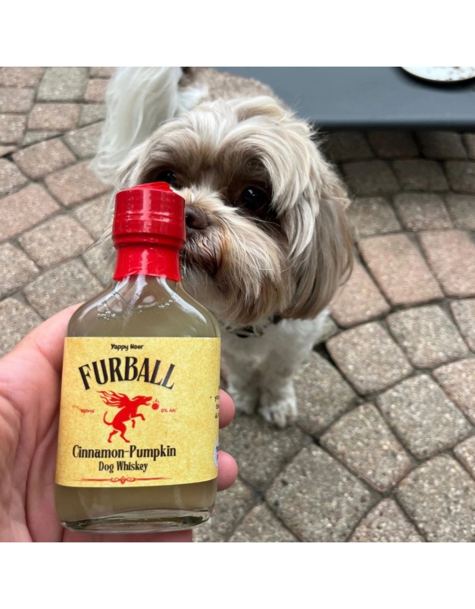Yappy Hour Dog Liquor Bundle
