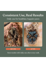 Dandylion Clean Paws No-Rinse Foaming Cleanser - 5 fl oz