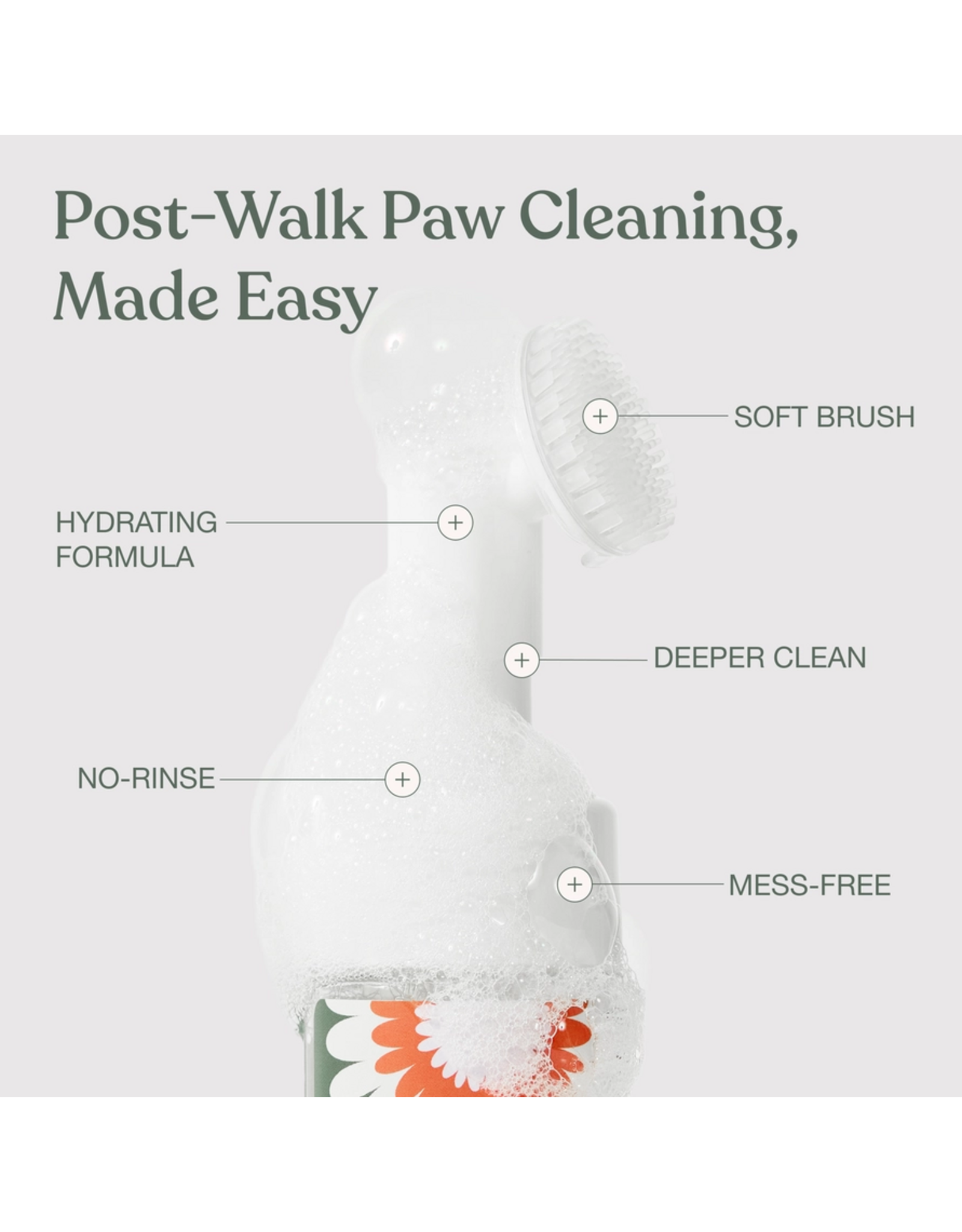Dandylion Clean Paws No-Rinse Foaming Cleanser - 5 fl oz