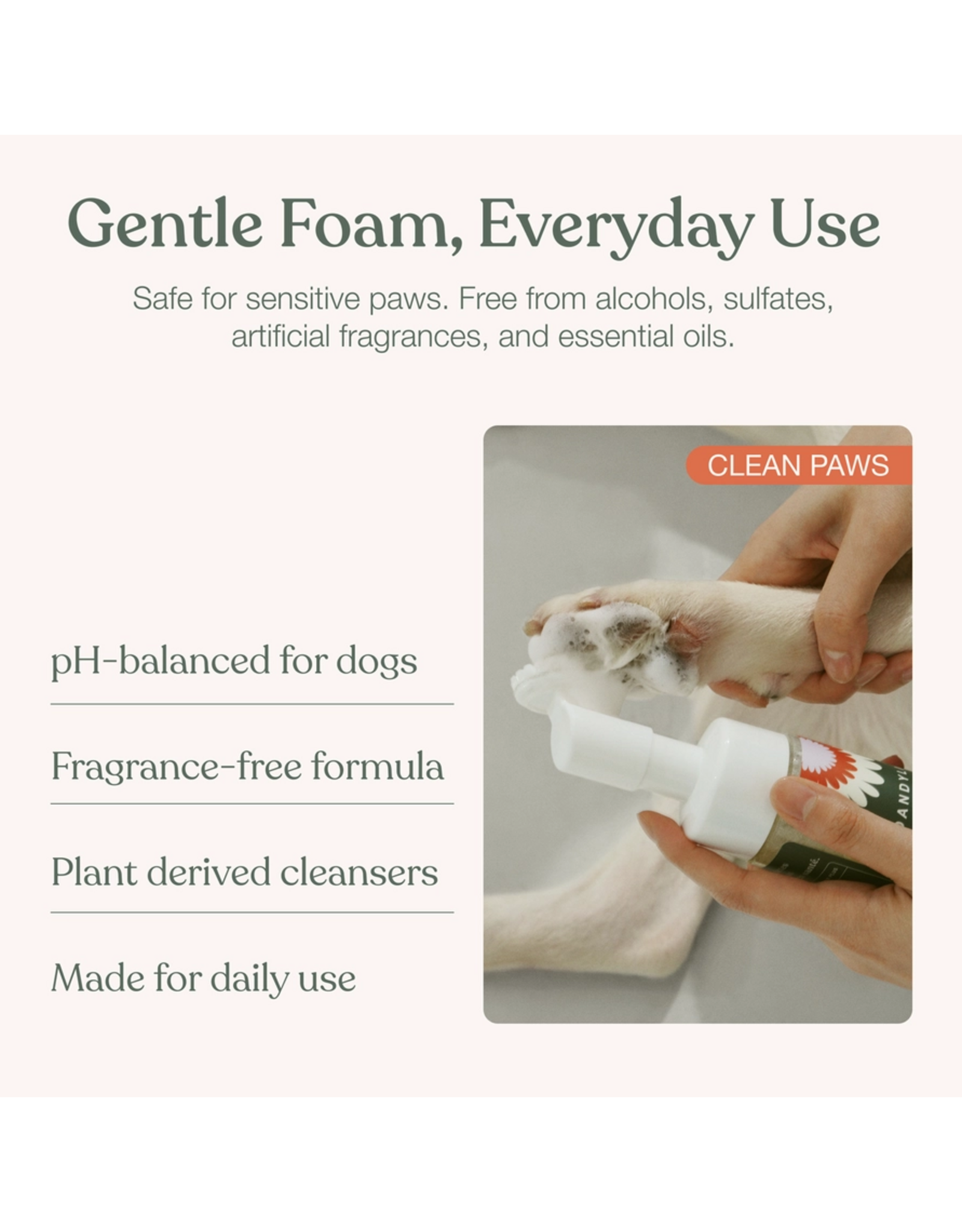 Dandylion Clean Paws No-Rinse Foaming Cleanser - 5 fl oz
