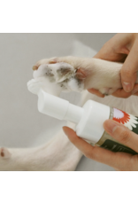 Dandylion Clean Paws No-Rinse Foaming Cleanser - 5 fl oz